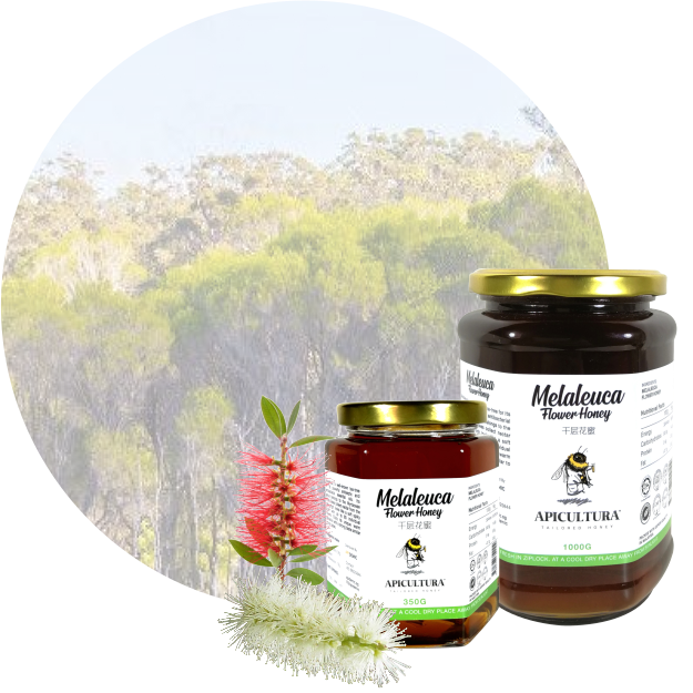 Melaleuca Flower Honey