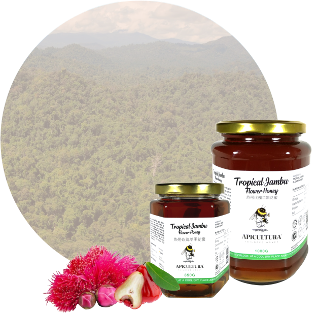 Tropical Jambu Flower Honey